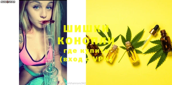 крисы Новозыбков