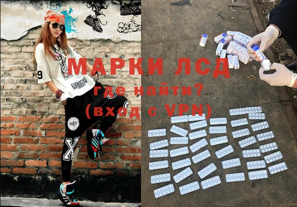 крисы Новозыбков