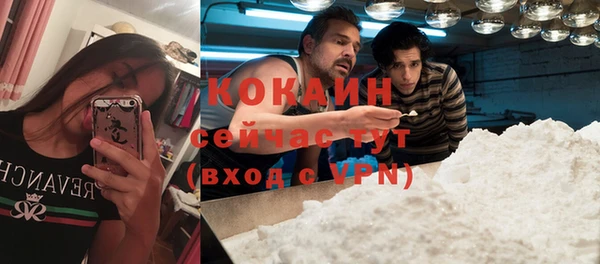 трава Нефтекумск