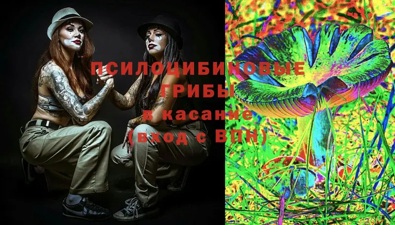 Галлюциногенные грибы MAGIC MUSHROOMS  Калуга 